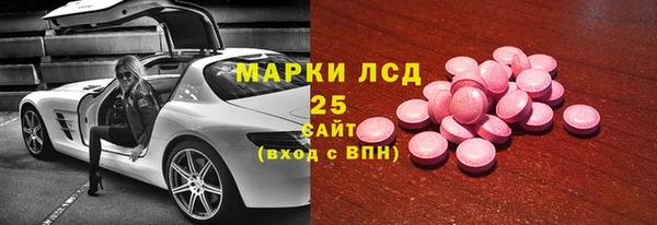 прущие грибы Балахна