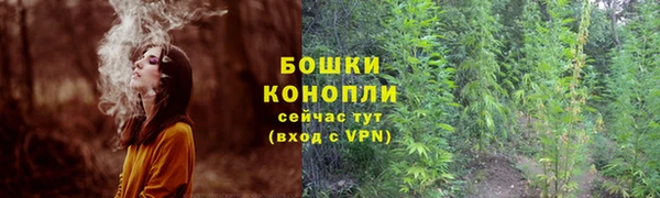 каннабис Аркадак