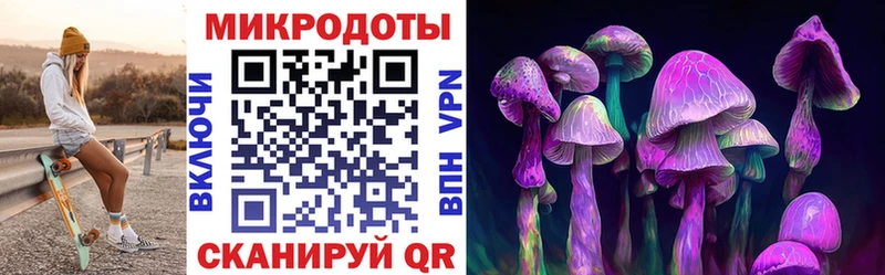 blacksprut ссылка  Конаково  Псилоцибиновые грибы Psilocybe  купить  сайты 