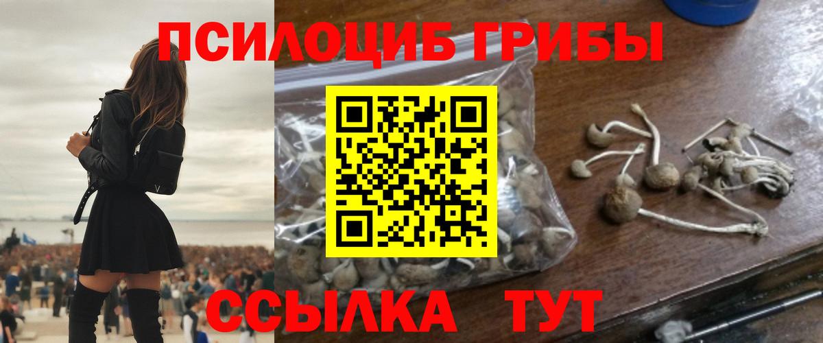 Псилоцибиновые грибы GOLDEN TEACHER Конаково