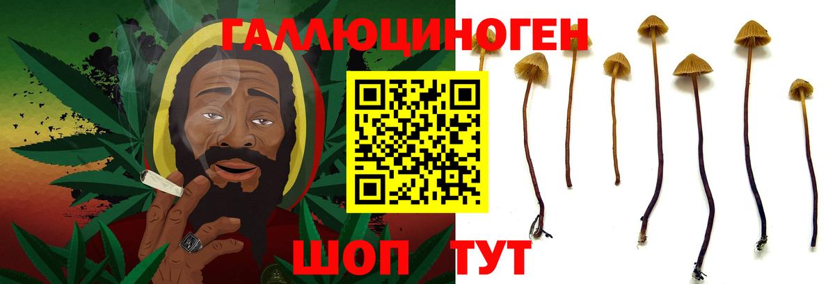 что такое наркотик  Вход с VPN  Конаково  Псилоцибиновые грибы мухоморы  Галлюциногенные грибы мухоморы 