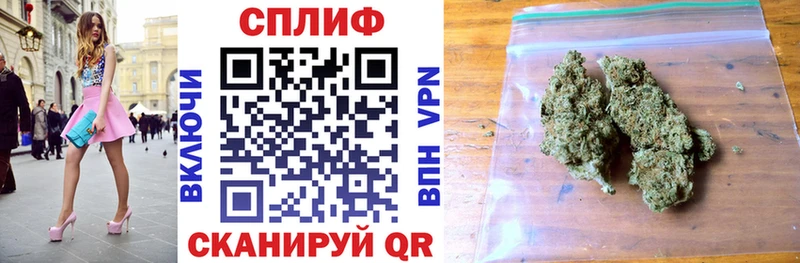Бошки Шишки планчик Конаково